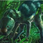 Screenshot_20260209-072946