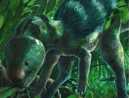 Screenshot_20260209-072946