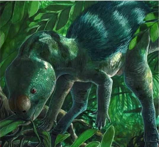 Screenshot_20260209-072946